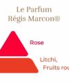 Régis Macron