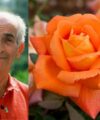 Louis de Funes